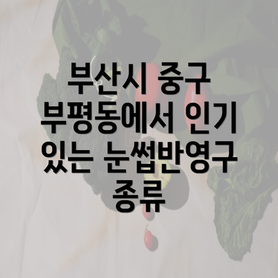 부산시 중구 부평동에서 인기 있는 눈썹반영구 종류