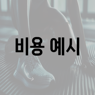 비용 예시