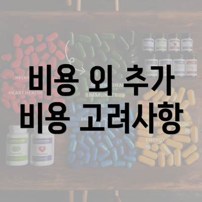 비용 외 추가 비용 고려사항