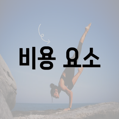 비용 요소