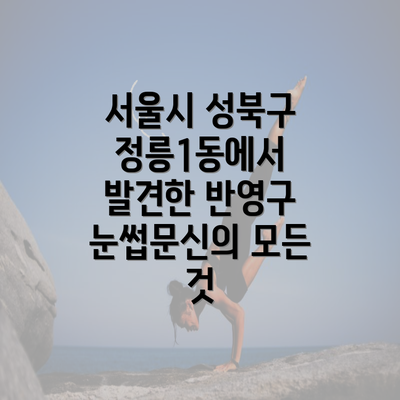 서울시 성북구 정릉1동에서 발견한 반영구 눈썹문신의 모든 것