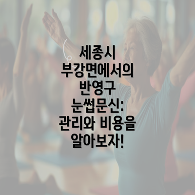 세종시 부강면에서의 반영구 눈썹문신: 관리와 비용을 알아보자!