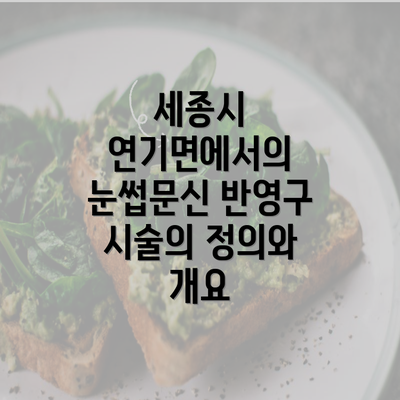 세종시 연기면에서의 눈썹문신 반영구 시술의 정의와 개요