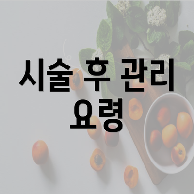 시술 후 관리 요령