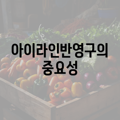 아이라인반영구의 중요성