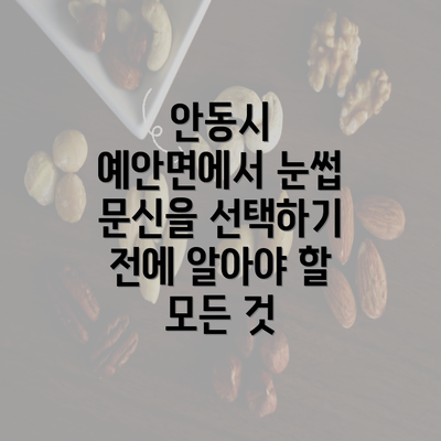 안동시 예안면에서 눈썹 문신을 선택하기 전에 알아야 할 모든 것