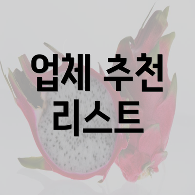 업체 추천 리스트