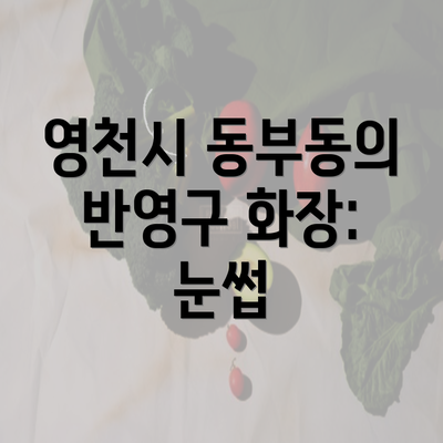 영천시 동부동의 반영구 화장: 눈썹