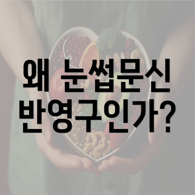 왜 눈썹문신 반영구인가?