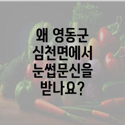 왜 영동군 심천면에서 눈썹문신을 받나요?