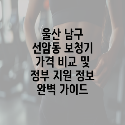 울산 남구 선암동 보청기 가격 비교 및 정부 지원 정보 완벽 가이드