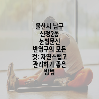 울산시 남구 신정2동 눈썹문신 반영구의 모든 것: 자연스럽고 관리하기 좋은 방법