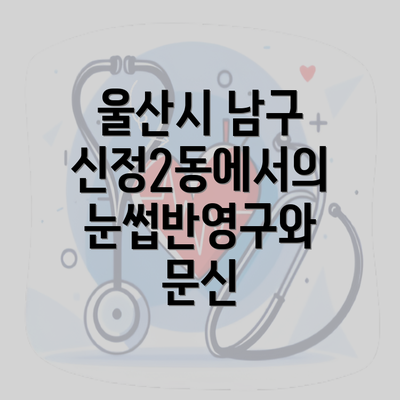 울산시 남구 신정2동에서의 눈썹반영구와 문신