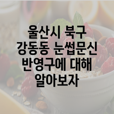 울산시 북구 강동동 눈썹문신 반영구에 대해 알아보자