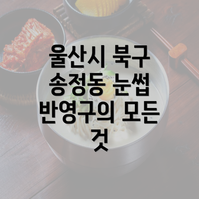 울산시 북구 송정동 눈썹 반영구의 모든 것