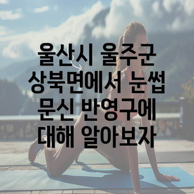 울산시 울주군 상북면에서 눈썹 문신 반영구에 대해 알아보자