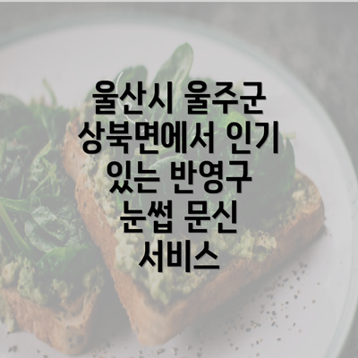 울산시 울주군 상북면에서 인기 있는 반영구 눈썹 문신 서비스