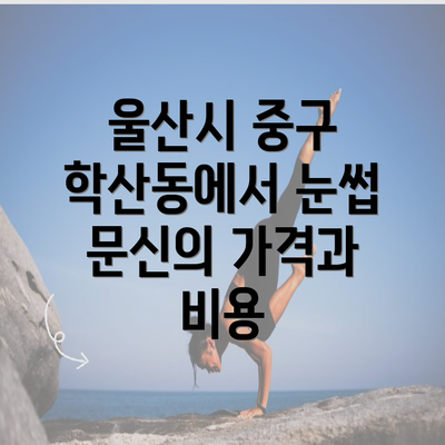 울산시 중구 학산동에서 눈썹 문신의 가격과 비용