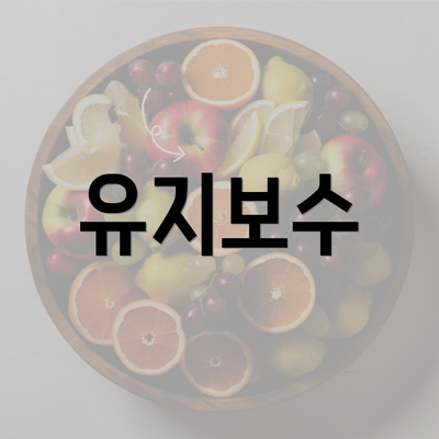 유지보수