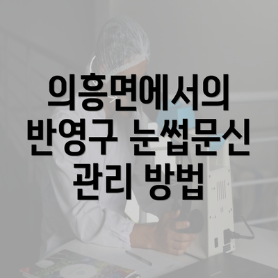 의흥면에서의 반영구 눈썹문신 관리 방법