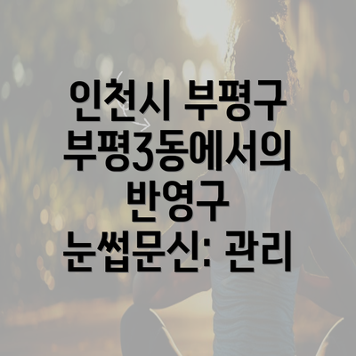 인천시 부평구 부평3동에서의 반영구 눈썹문신: 관리