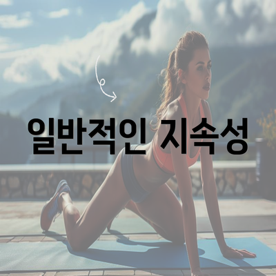 일반적인 지속성