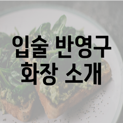 입술 반영구 화장 소개