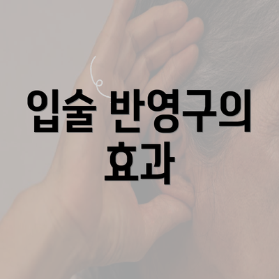 입술 반영구의 효과