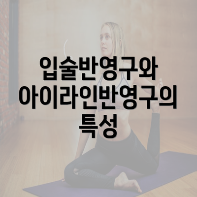 입술반영구와 아이라인반영구의 특성