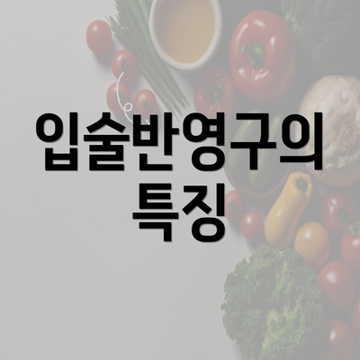 입술반영구의 특징