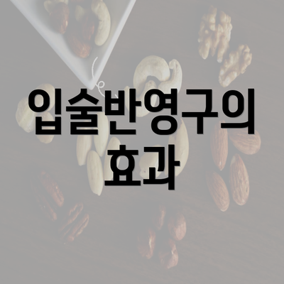 입술반영구의 효과