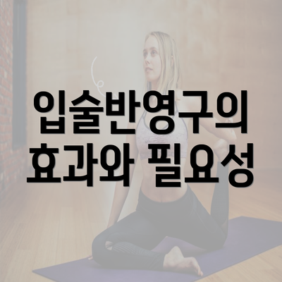 입술반영구의 효과와 필요성