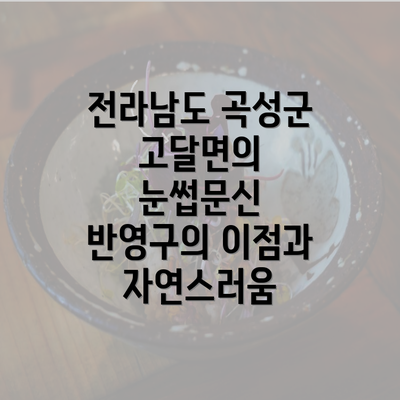 전라남도 곡성군 고달면의 눈썹문신 반영구의 이점과 자연스러움