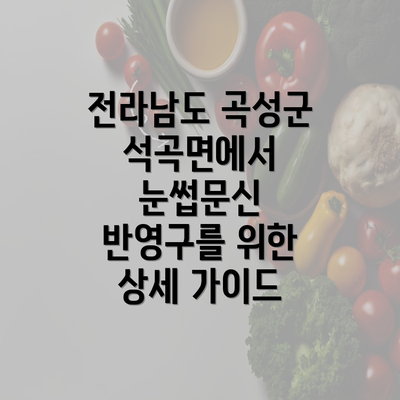 전라남도 곡성군 석곡면에서 눈썹문신 반영구를 위한 상세 가이드