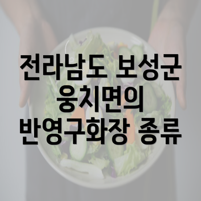 전라남도 보성군 웅치면의 반영구화장 종류