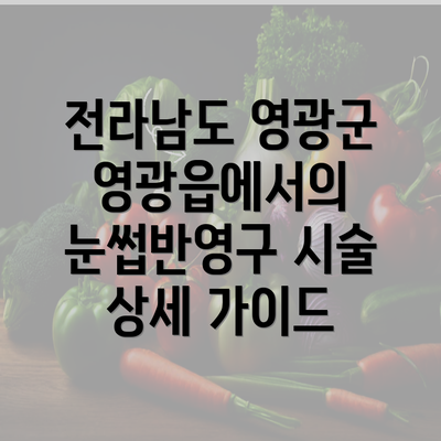 전라남도 영광군 영광읍에서의 눈썹반영구 시술 상세 가이드