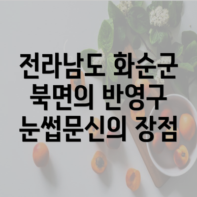 전라남도 화순군 북면의 반영구 눈썹문신의 장점