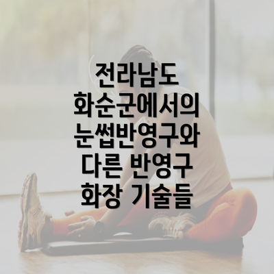 전라남도 화순군에서의 눈썹반영구와 다른 반영구 화장 기술들