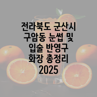 전라북도 군산시 구암동 눈썹 및 입술 반영구 화장 총정리 2025