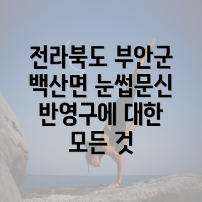 전라북도 부안군 백산면 눈썹문신 반영구에 대한 모든 것