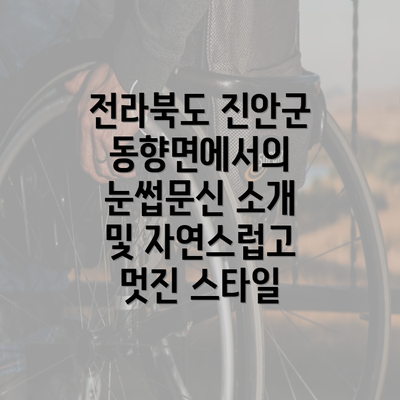 전라북도 진안군 동향면에서의 눈썹문신 소개 및 자연스럽고 멋진 스타일