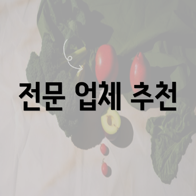 전문 업체 추천