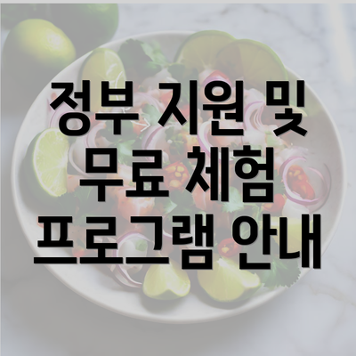 정부 지원 및 무료 체험 프로그램 안내