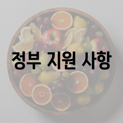 정부 지원 사항