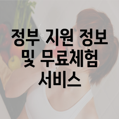 정부 지원 정보 및 무료체험 서비스