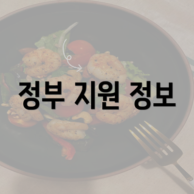 정부 지원 정보