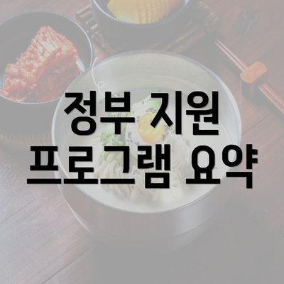 정부 지원 프로그램 요약