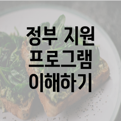 정부 지원 프로그램 이해하기