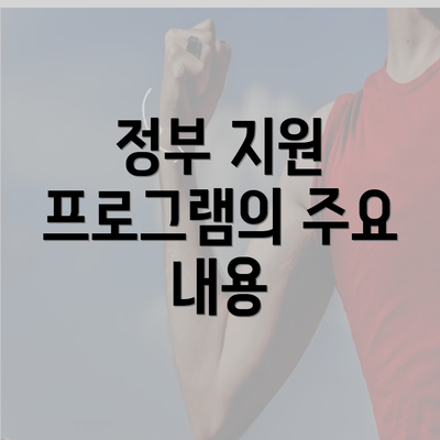 정부 지원 프로그램의 주요 내용