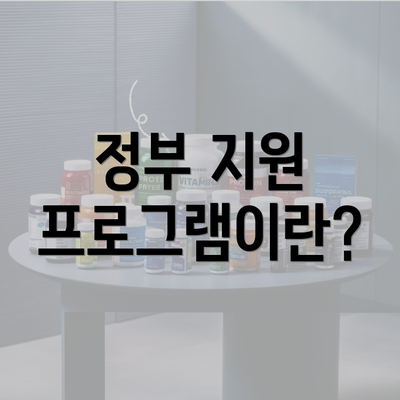 정부 지원 프로그램이란?